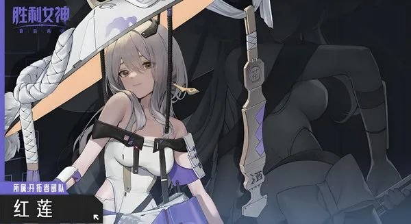 红莲培养攻略：怎么配队？词条和魔方如何选择？