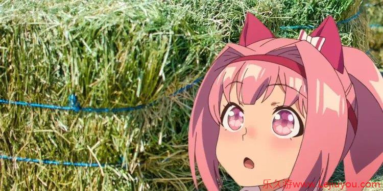 给系统干崩溃了 《赛马娘》春乌拉拉被粉丝送2吨牧草-乐久游-游戏盒子