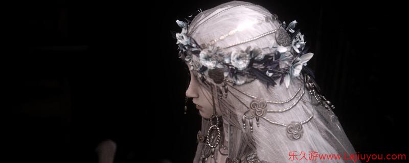 《艾尔登法环：黑夜君临》复仇者特点评价分享-乐久游-游戏盒子