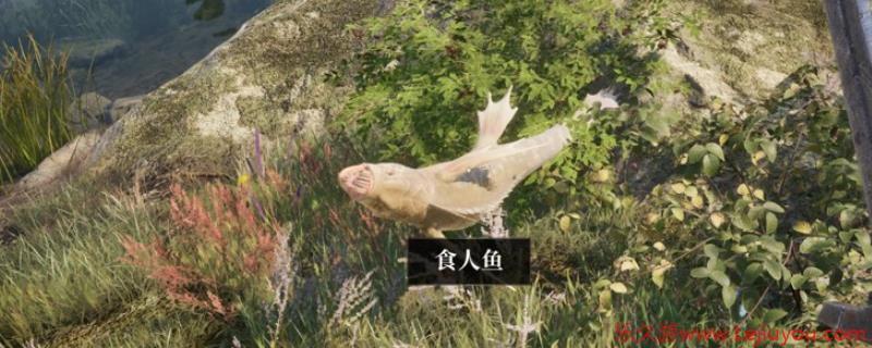 《上古卷轴4：湮灭重制版》任务避坑指南分享-乐久游-游戏盒子